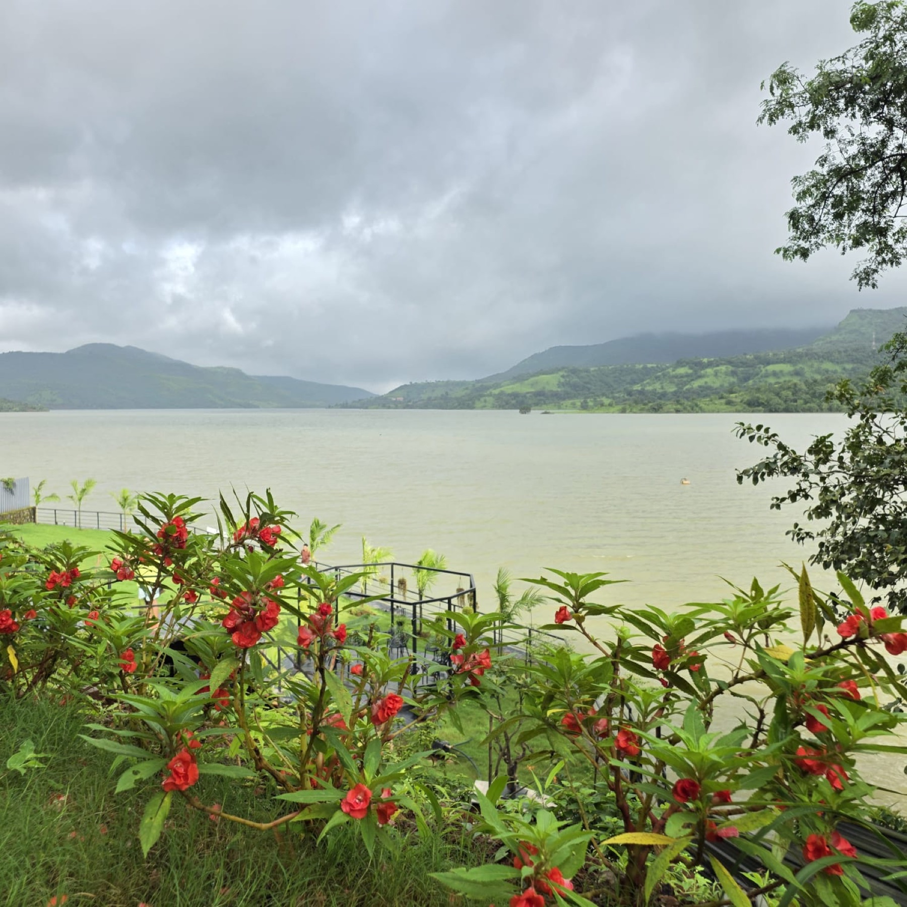 Monsoon flowers in the foreground with the swollen backwaters and green hills beyond